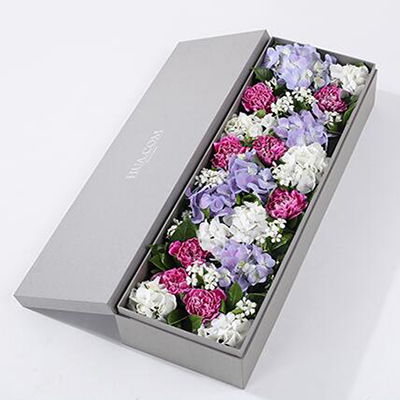 紫色白邊康乃馨8枝、白繡球1枝、藍(lán)紫色繡球1枝